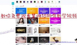 看视频的网站,揭秘热门平台背后的精彩故事